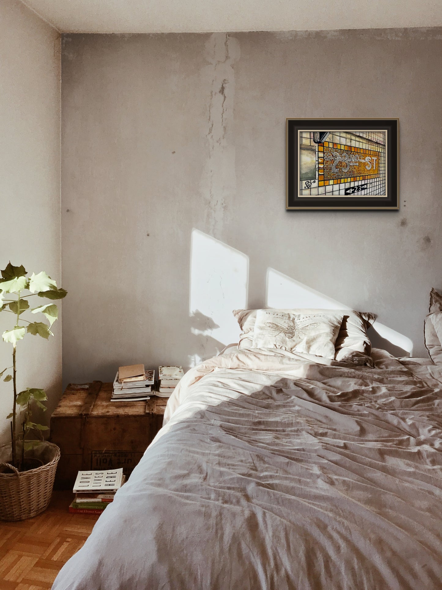 Gicleé Limited Edition Prints
